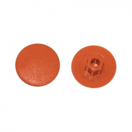 bs-21838-zaglushka-pod-konfirmat-vishnya-1000sht-1552539092-0